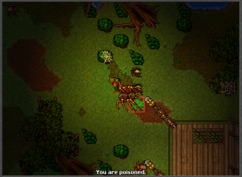 spiderfield5.png