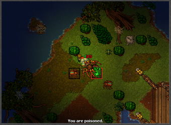 spiderfield6.png