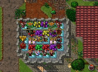 999.jpg