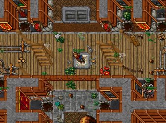 exp room.jpg