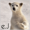avej1.png