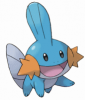 mudkip.png