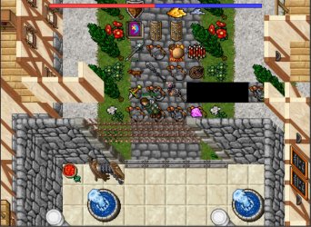 bug.jpg
