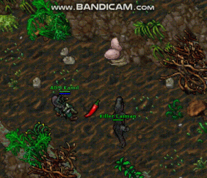 bandicam 2021-06-02 17-15-10-349.gif