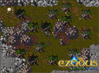 forest 2.jpg