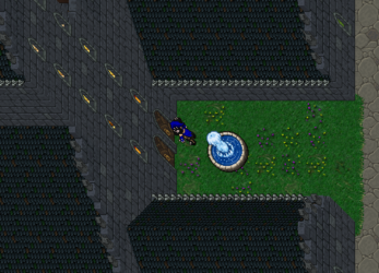 5.png