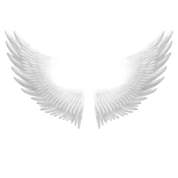 —Pngtree—snow white angel wings_6043696.png