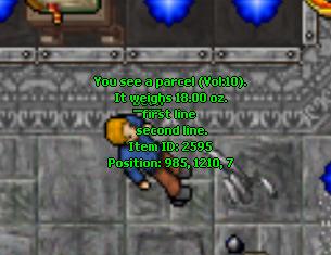 2021-07-24 19_34_34-Tibia.png