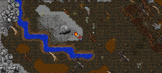 oak_p3.png