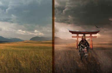 landscape-690345_1920.png