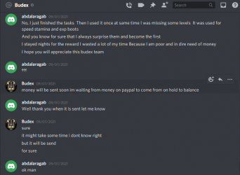 budex3.PNG
