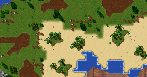 nature1.png