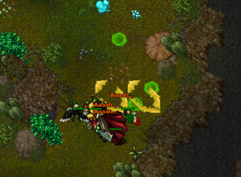 quest6.PNG
