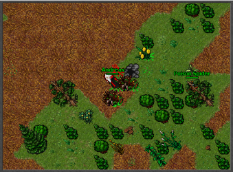 tarantulas1.png