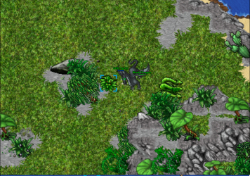 black dragon.png