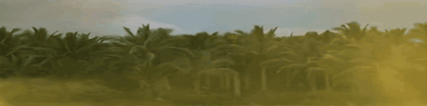 00f2ab610cac255d826c35a1c3bc0b58-1.gif