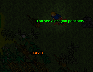 dragon_poacher.png