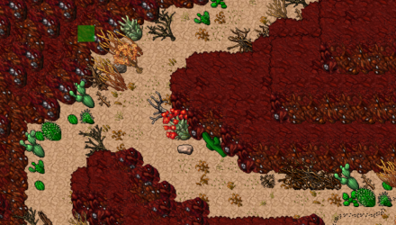 canyon.PNG