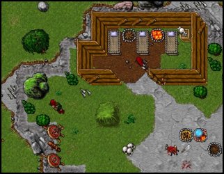 amazon camp 3.jpg