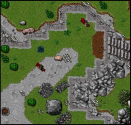 amazon camp 4.jpg