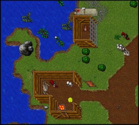 amazon camp 6.jpg
