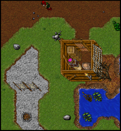 amazon camp 7.png