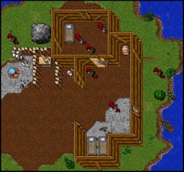 amazon camp 8.jpg