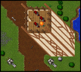 amazon camp 9.png