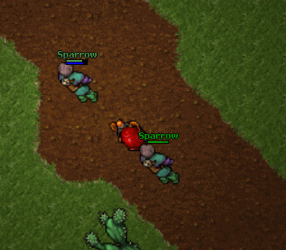 doppeltaker1.gif