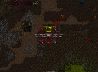 2022-01-15_020937430_Carinha Logoali_LevelUp.png