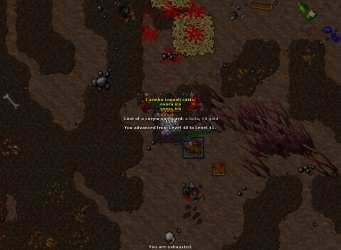 2022-01-15_021654279_Carinha Logoali_LevelUp.png