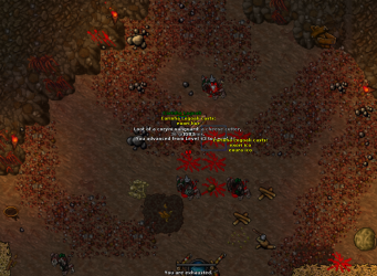 2022-01-15_025101289_Carinha Logoali_LevelUp.png