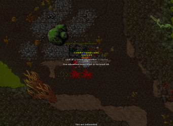 2022-01-15_141424924_Carinha Logoali_LevelUp.png