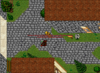 tibia_coins_level.png