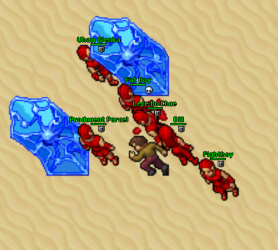 pvp.png