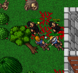 pvp2.png