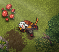 FEATURE IMAGE.png