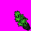 weed_6310.png