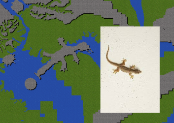 lizard.png