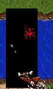 Photo 1.PNG