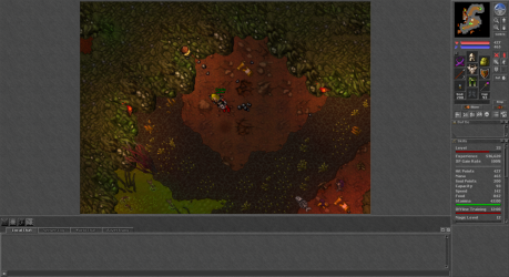tibia.png