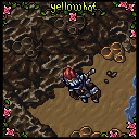 yellowhat.gif