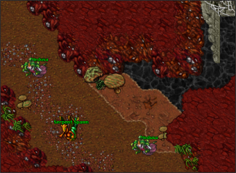 Medusas.png