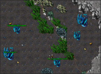 Sea serpents.png