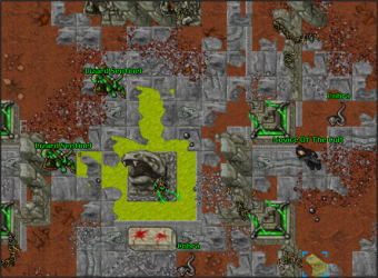 Lizards.png