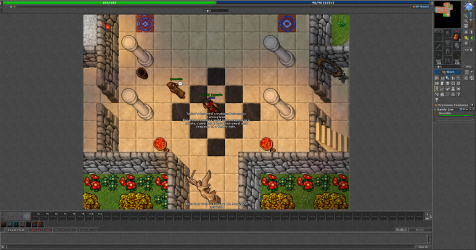 2022-03-10_222211585_Druid Sample_Hotkey.png