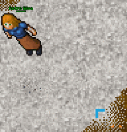 classicOptions.gif