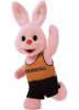 duracell_bunny.jpg