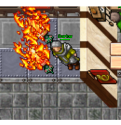 zobacz.png