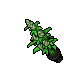 item_6339.png